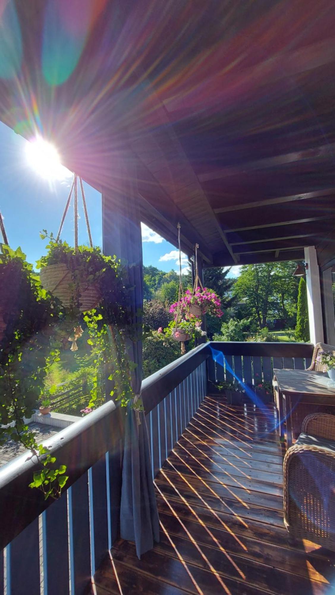 Maries Bunte Villa バート・ベルレブルク エクステリア 写真